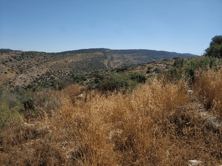 טבע בארץ ישראל